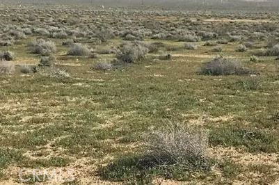 MLS #IG25177920 image #0