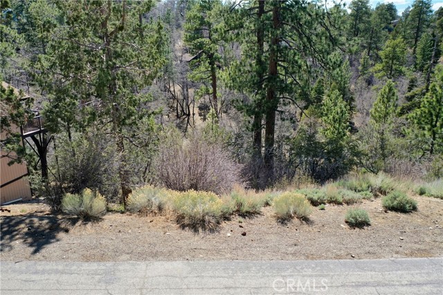 MLS #IG25187051 image #16