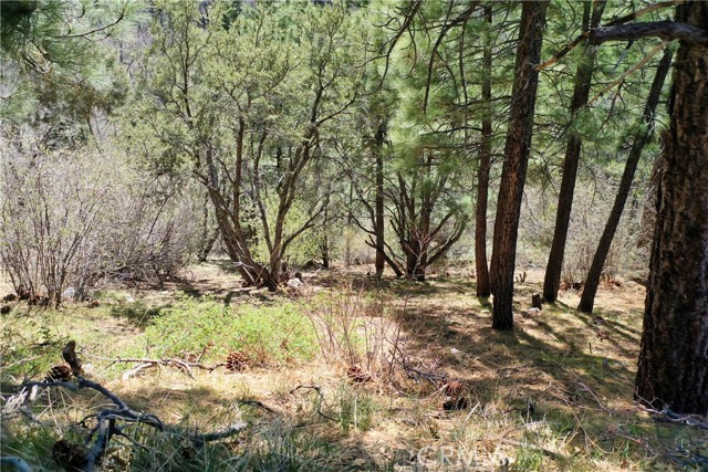 MLS #IG25187051 image #17