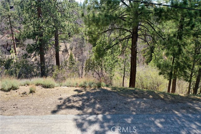 MLS #IG25187051 image #5