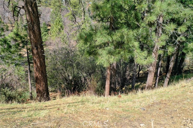 MLS #IG25187051 image #8