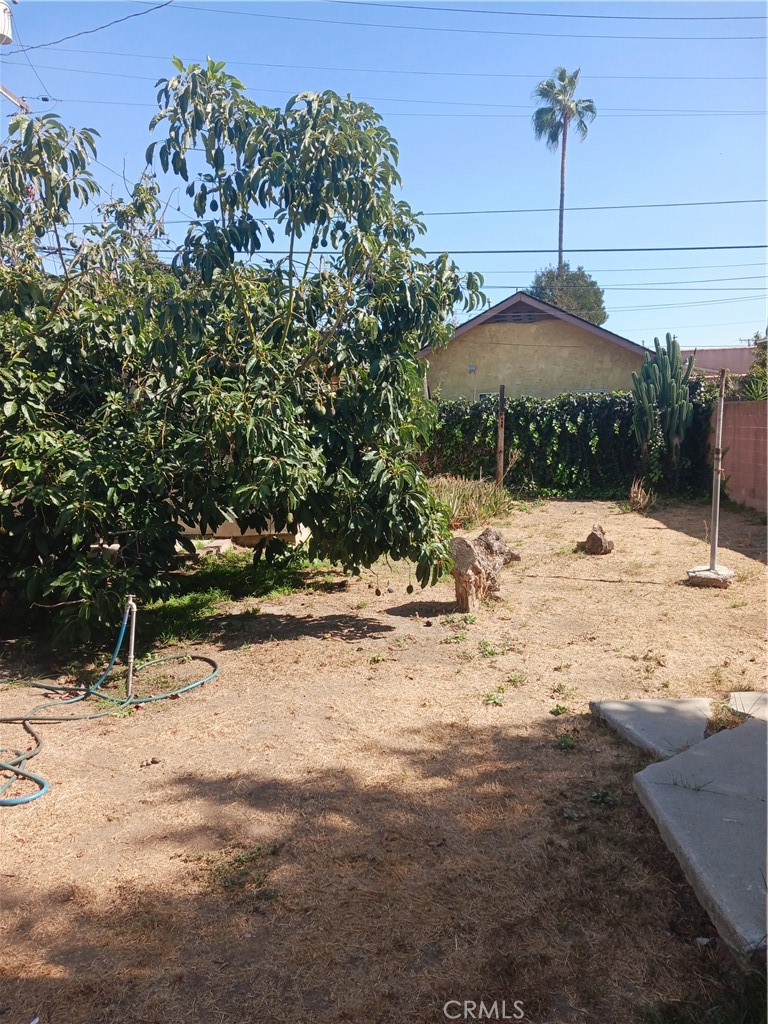 MLS #IG25193469 image #9