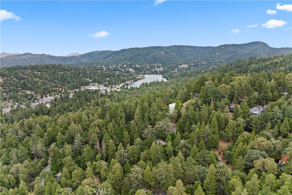 MLS #IG25199312 image #14