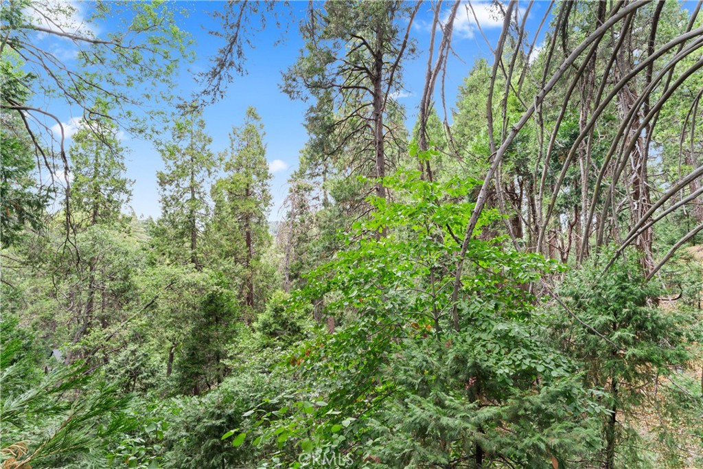 MLS #IG25199312 image #16