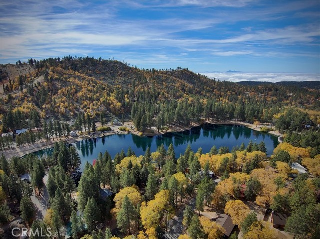 MLS #IG25201511 image #22