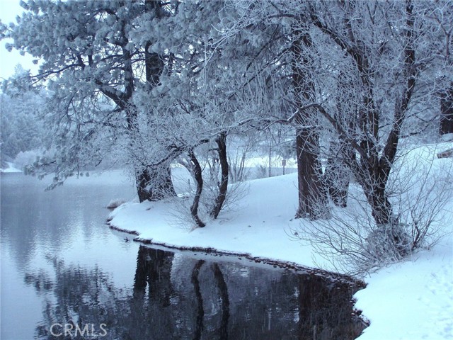 MLS #IG25201511 image #31