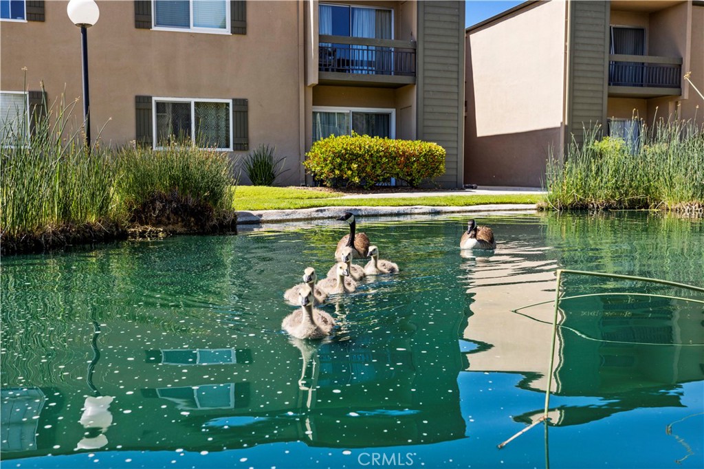 MLS #IG25202933 image #3