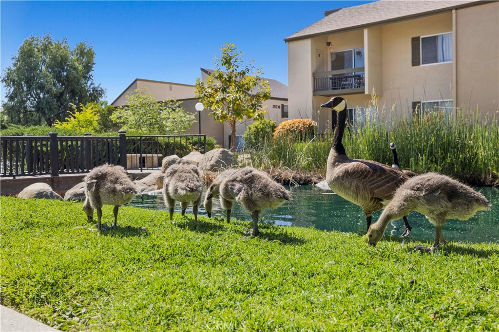 MLS #IG25202933 image #6