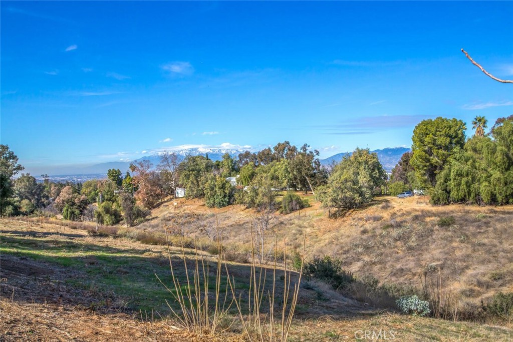 MLS #IG25218544 image #5