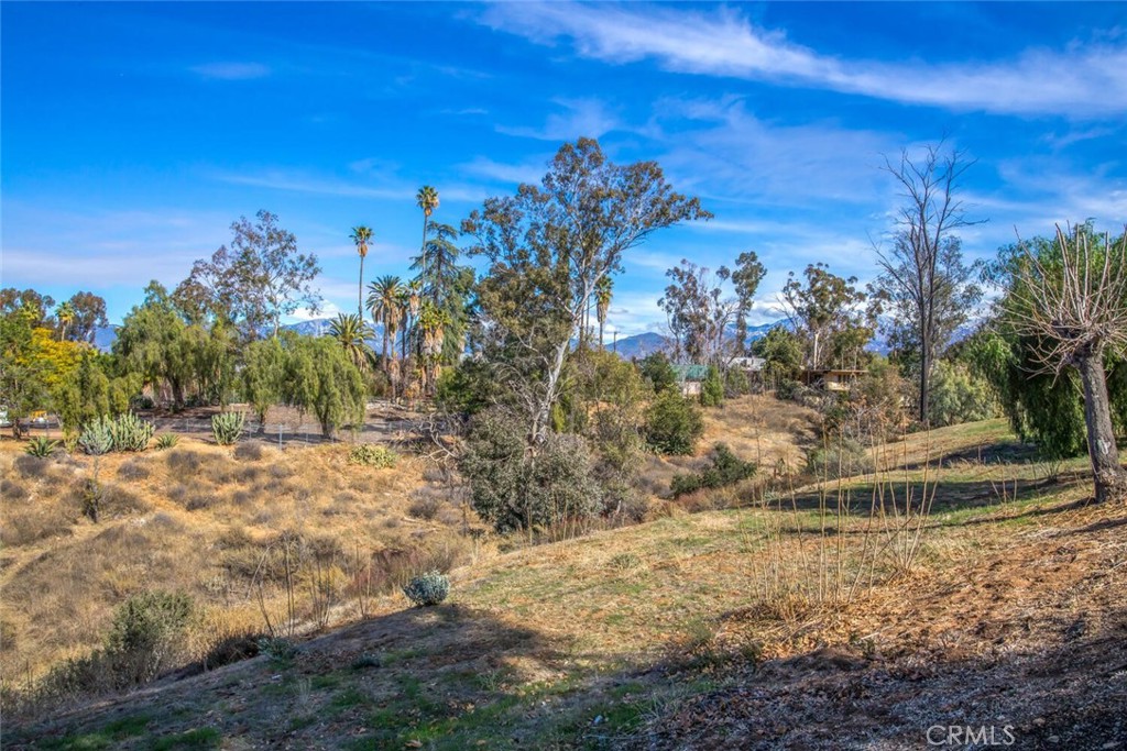 MLS #IG25218544 image #6