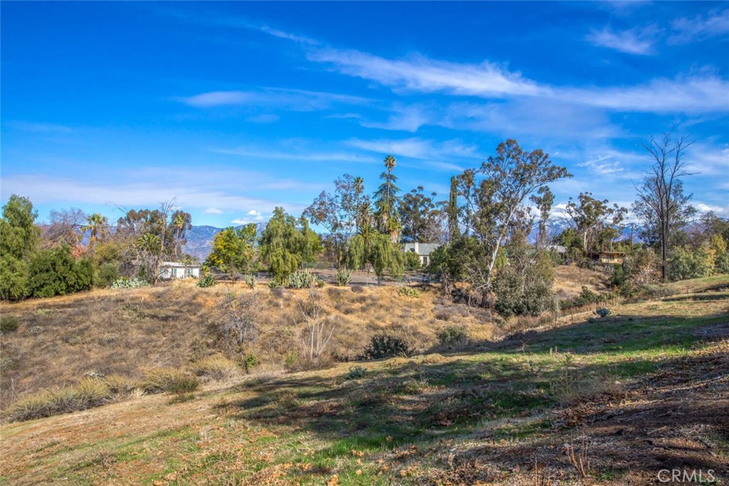 MLS #IG25218544 image #7