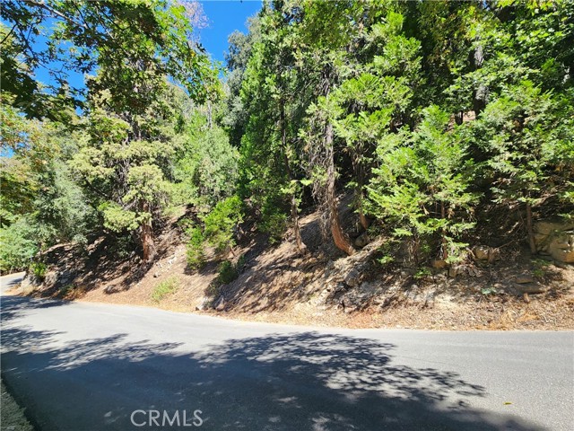 MLS #IG25222009 image #8