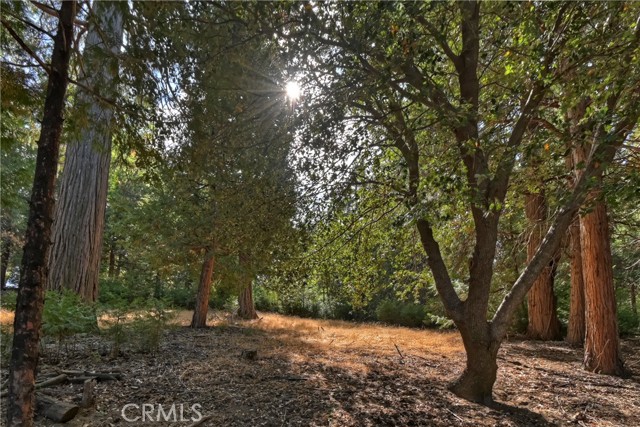 MLS #IG25227072 image #58