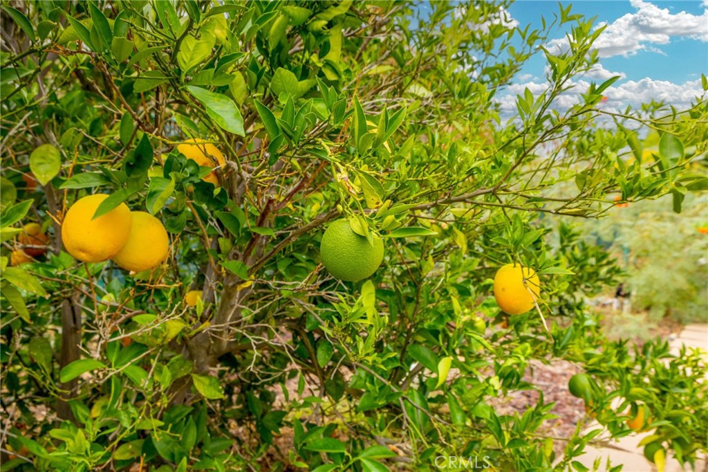 MLS #IG25231368 image #40