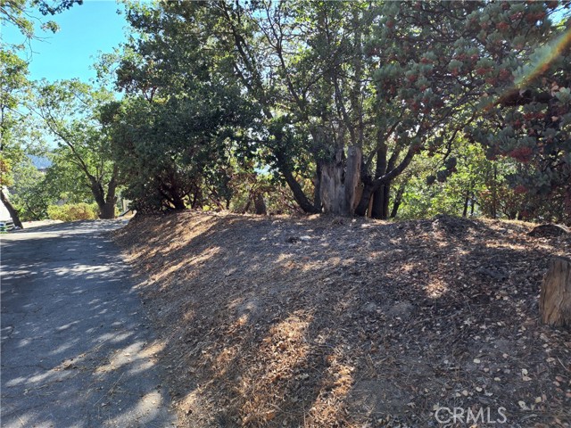 MLS #IG25233513 image #10