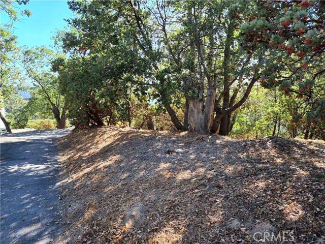 MLS #IG25233513 image #11