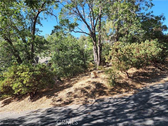 MLS #IG25233513 image #12