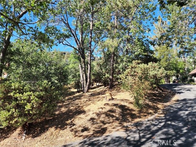 MLS #IG25233513 image #13