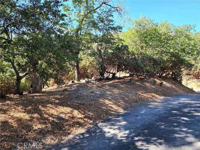 MLS #IG25233513 image #16