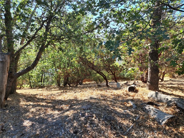 MLS #IG25233513 image #2