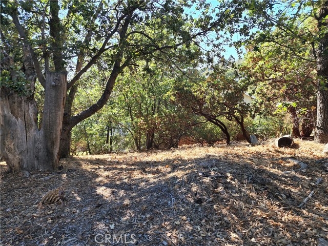 MLS #IG25233513 image #3