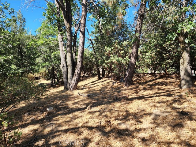 MLS #IG25233513 image #4