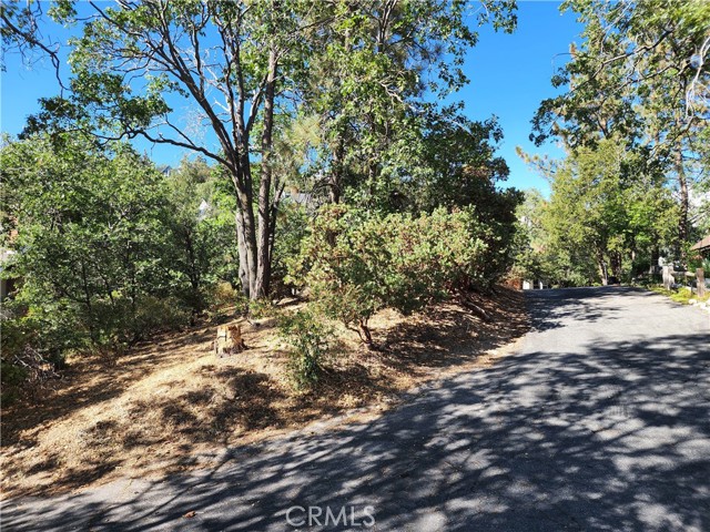 MLS #IG25233513 image #5