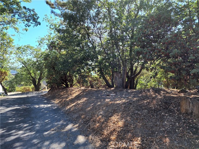 MLS #IG25233513 image #9