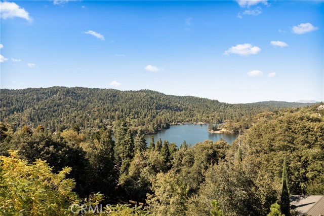 MLS #IG25237795 image #6