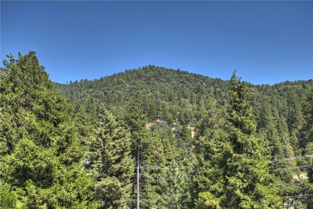 MLS #IG25239013 image #2