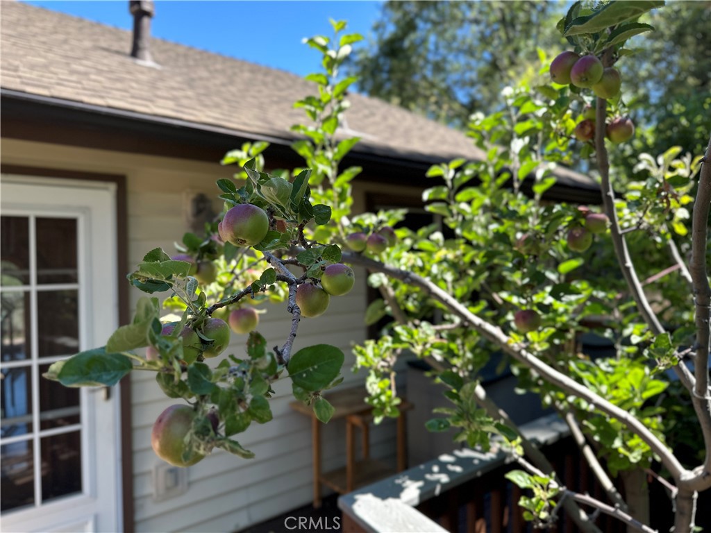 MLS #IG25239013 image #43