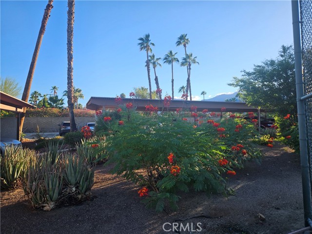 MLS #IG25241182 image #38