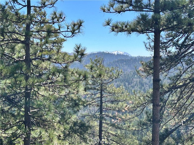 MLS #IG25242849 image #19