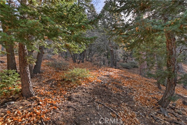 MLS #IG25243238 image #25