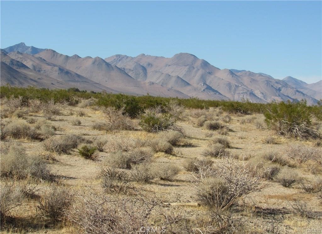 MLS #IG25244047 image #0