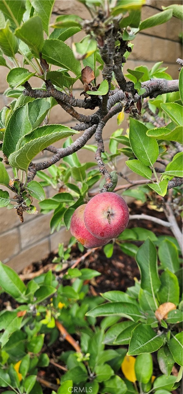 MLS #IG25244197 image #38