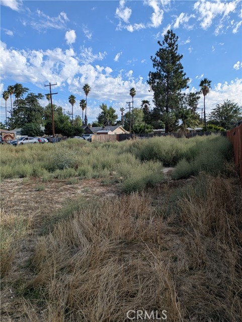 MLS #IG25246174 image #3