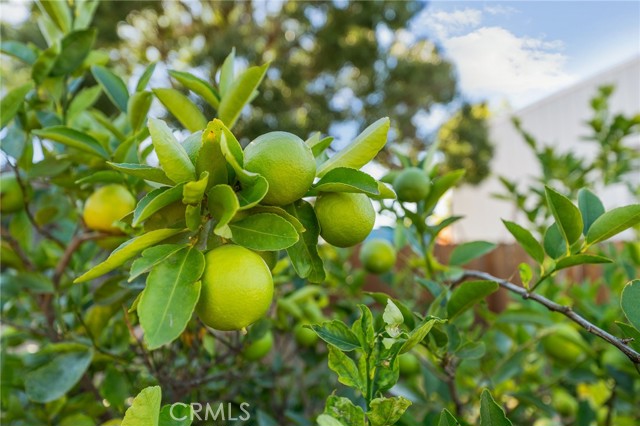 MLS #IG25247510 image #53