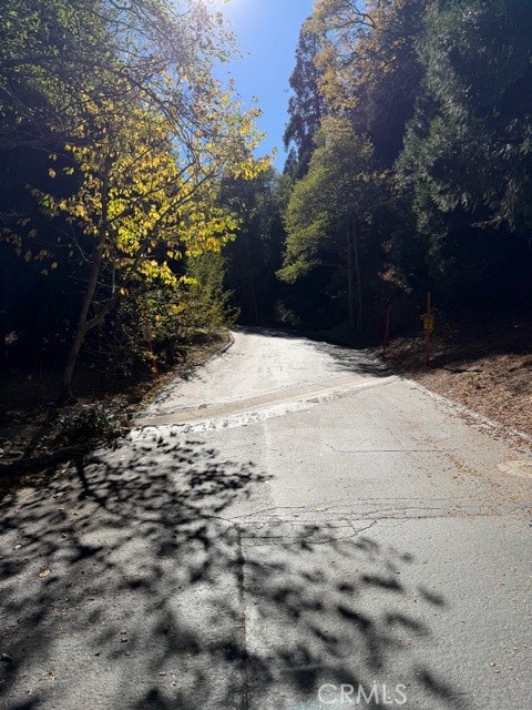 MLS #IG25251204 image #27