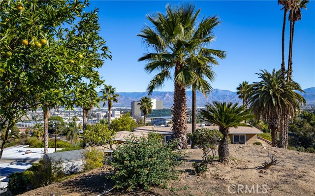 MLS #IG25251269 image #30