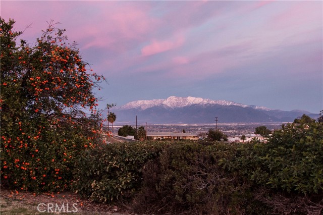 MLS #IG25251269 image #52