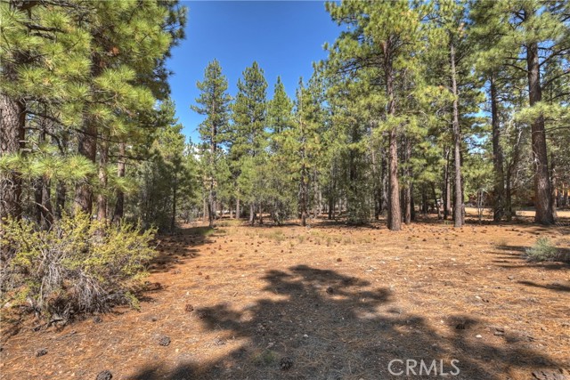 MLS #IG25251614 image #11