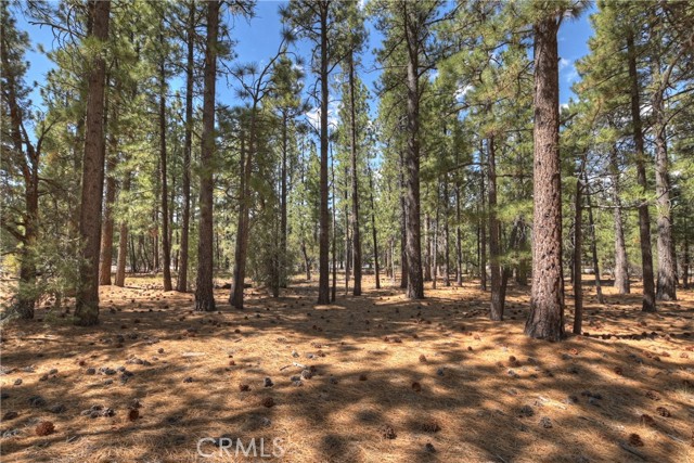 MLS #IG25251614 image #12