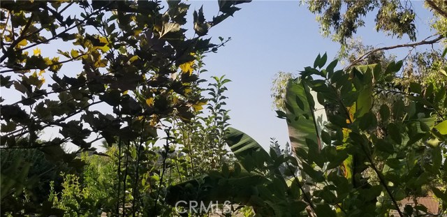 MLS #IG25253158 image #10