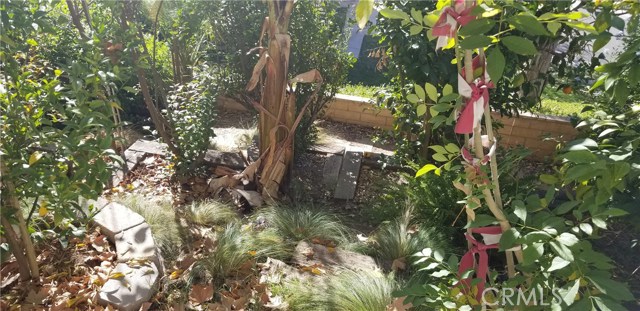 MLS #IG25253158 image #35