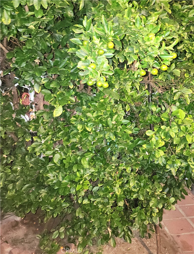 MLS #IG25255913 image #48