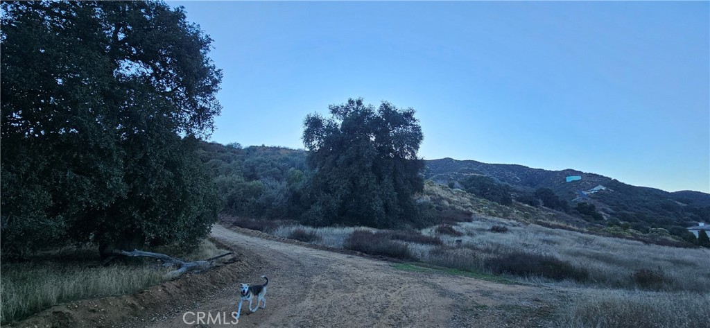 MLS #IG25256661 image #17