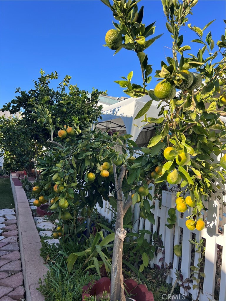 MLS #IG25257942 image #17