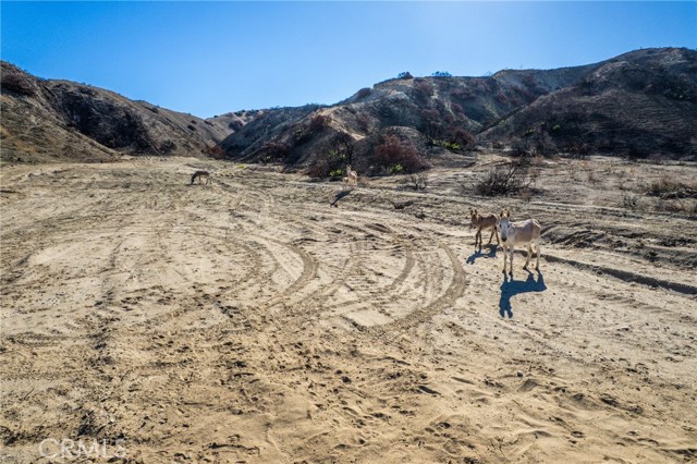 MLS #IG25258526 image #7