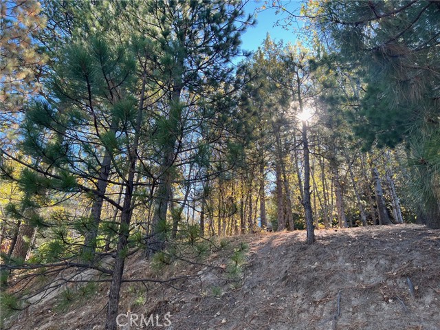 MLS #IG25258552 image #1